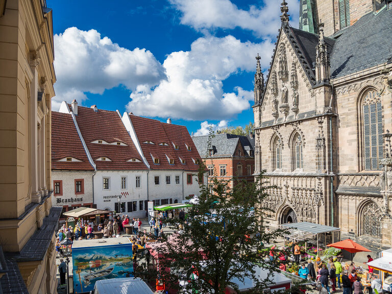 Ein Ausschnitt von Zwickau mit einer großen Kirche